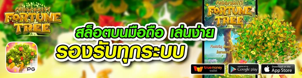 tha555